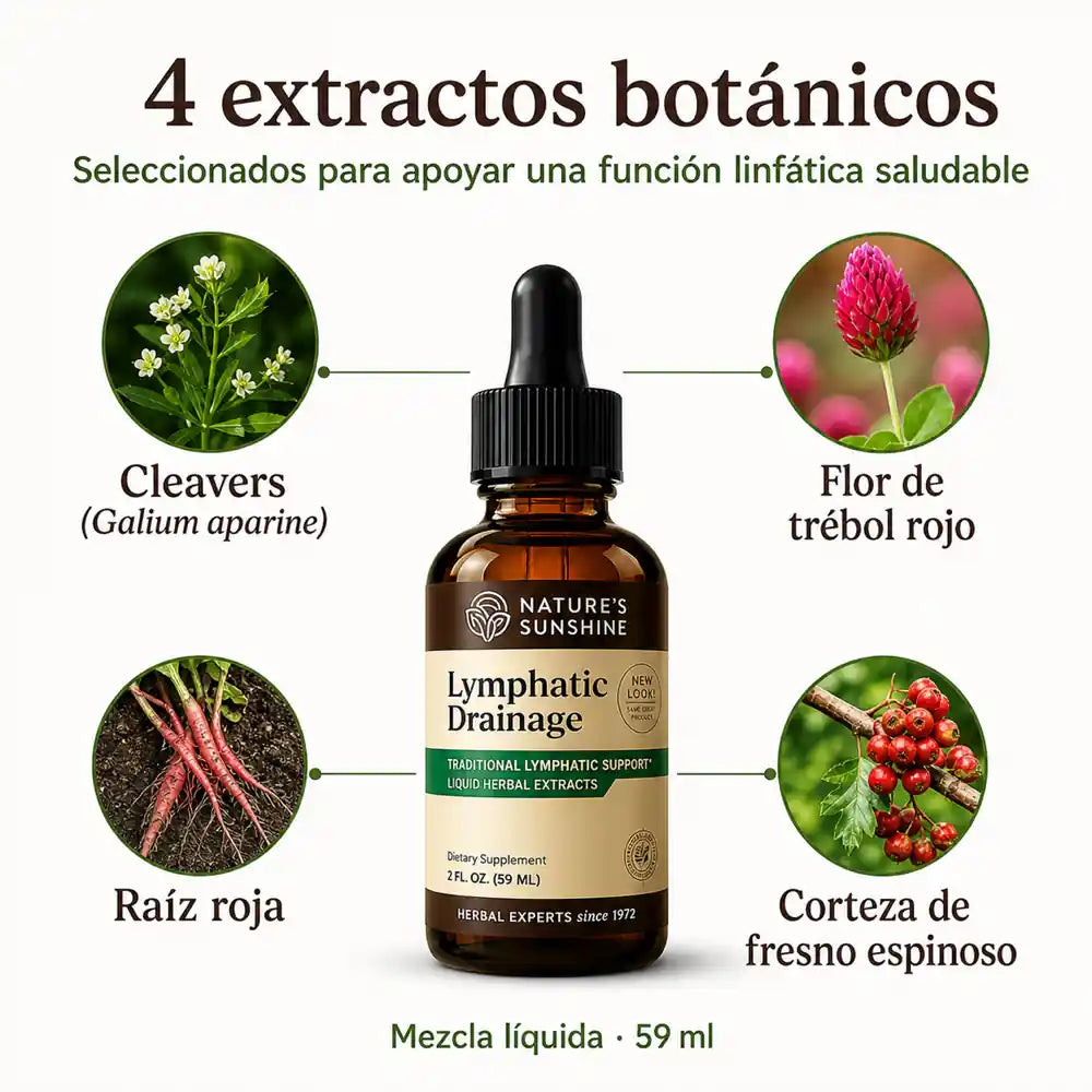 Cuatro extractos botánicos de Lymphatic Drainage